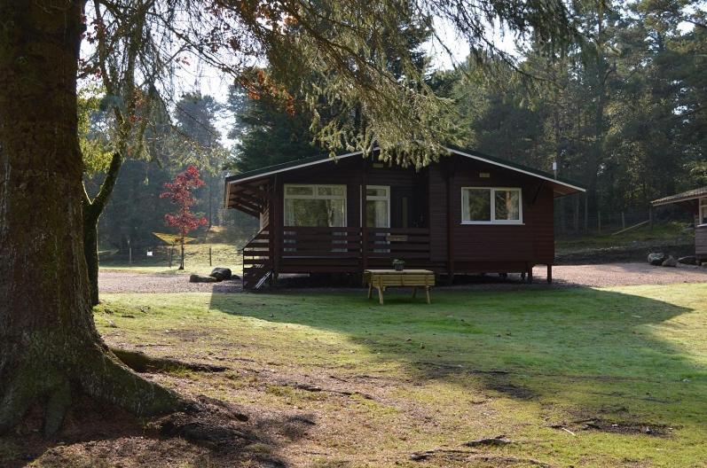 Villa Reuben'S Highland Retreat - Speyside Carrbridge Exterior foto